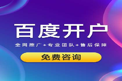 百度竞价排名策略解析：一家公司的广告投放策略全揭秘